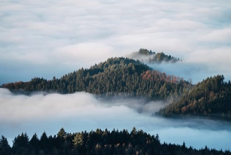 Northern Black Forest, Baden-Württemberg, Germany, A mountain ridge rises out of dense clouds of
