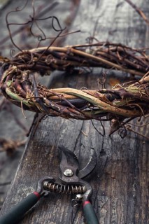 Cut grape branches twisted into crown manually