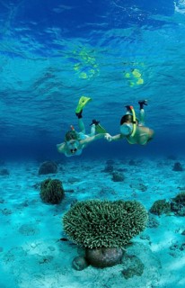 Two woman snorkelling, Bali, Indian Ocean, Indonesia, Asia