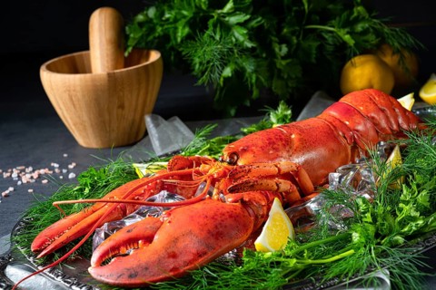 The cooked lobster on ice