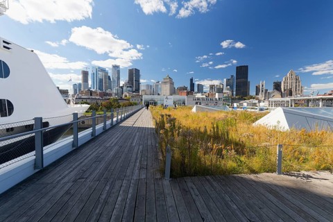 View on the city from the cruise ship terminal, Old Port, Montreal, Province Quebec, Canada, North