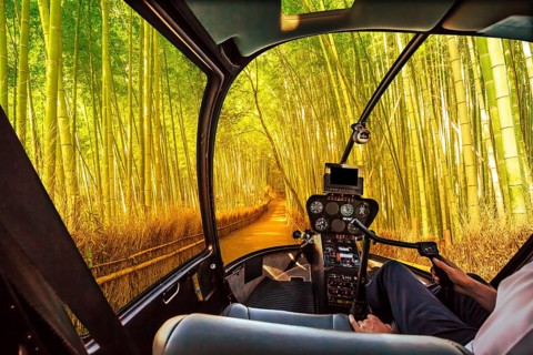 Helicopter cockpit inside the cabin flying in surreal bamboo grove at Sagano in Arashiyama, sunlit.
