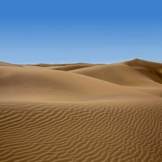 Desert dunes sand in Maspalomas Oasis Gran Canaria at Canary islands