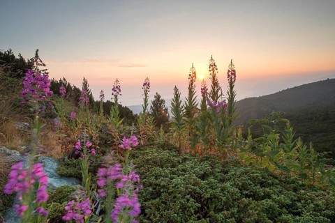 Sunrise in the mountain. Bulgaria, Rila mountain