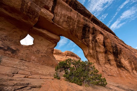 Great view on the Partition Arch in the Arches National Park, USA, North America