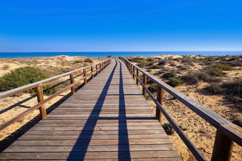 El Carabassi beach dunes in Elx Elche of Alicante in Spain at Costa Blanca also Carabasi
