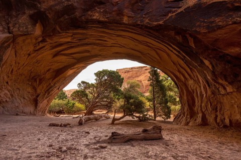 Giant Navajo Arch in the Arches National Park, USA, North America