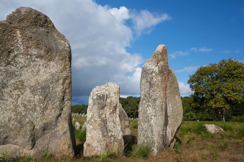 Menhirs, near Carnac, Brittany, France, Europe