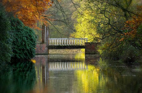 Autumn lighT