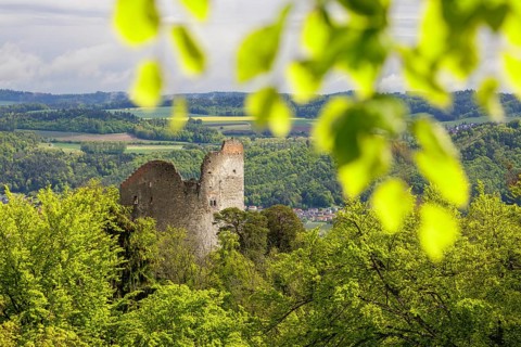 Ruined castle embedded in lush green vegetation under a cloudy sky, Altbodman castle ruins, Bodman,