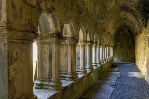Quin Abbey, Clare, Ireland, Europe
