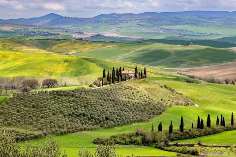 House with cypresses in spring in Val d Orcia, Tuscany, Italy, Europe