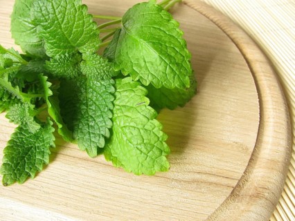 A bunch of lemon balm