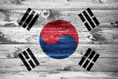 South Korea flag on wooden planks background wood flag