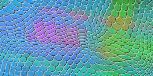 Colorful mermaid scales, fish scale, Fantasy texture