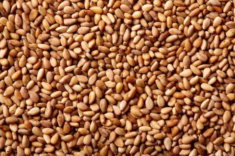 Sesame seeds texture macro detail background
