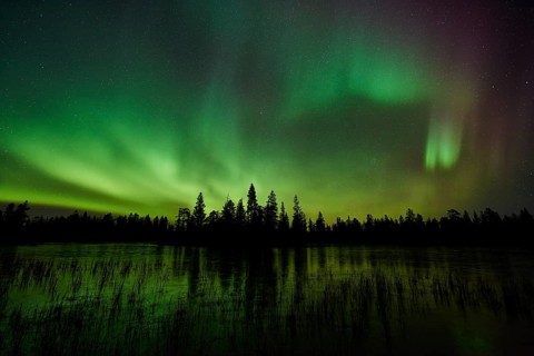 Northern Lights (Aurora borealis), Muddus National Park, Lapnia World Heritage Site, Norrbotten,