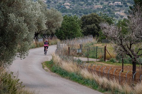 Cyclist on the road, Mancor de la Vall, Mallorca, Balearic Islands, Spain, Europe