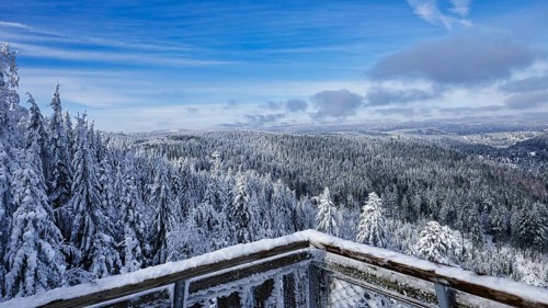 View from the Ellbachseeblick viewing platform in the Northern Black Forest nature park Park