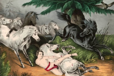 Scene from Mazeppa, a narrative poem written by Lord Byron in 1819, digital edited