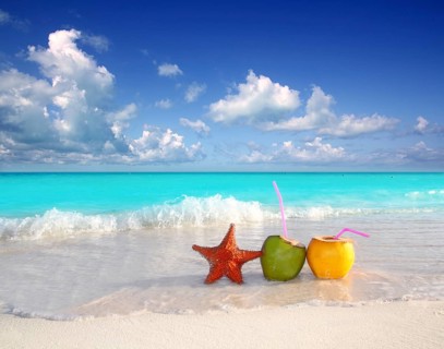 Coconut cocktails juice and starfish in tropical aqua beach Caribbean