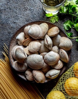 Food, Food, Ingredients for preparation spaghetti with clams, raw fresh clams, spaghetti coriander,