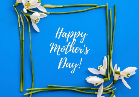 Happy Mothers Day lettering greeting card. Spring flowers snowdrop. Best mom ever. Beautiful tender