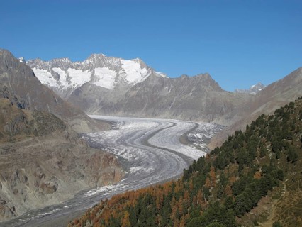 Unique Ice Stream