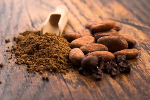 Cacao beans and cacao powder in spoon