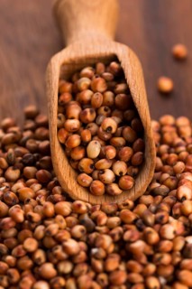 Sorghum, rice