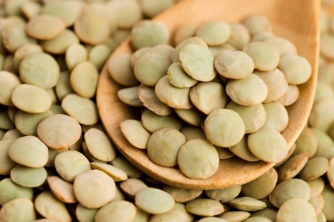 Dry Organic Green Lentils, lodz, poland