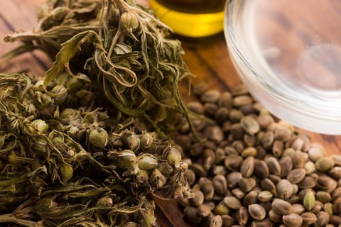 Cannabis extract with leaves