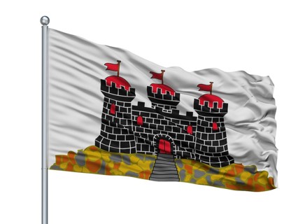 State City Flag On Flagpole, Country Transnistria, Isolated On White Background