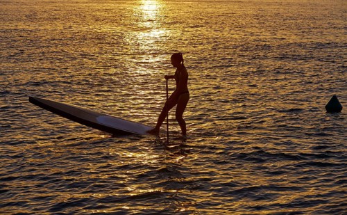 SUP Stand up Surf girl with paddle at sunset