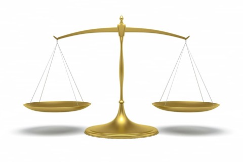 An image of a fine golden libra
