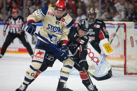 LanxessArena, Cologne, North Rhine-Westphalia, Alexander Karachun (Schwenninger Wild Wings, #47),