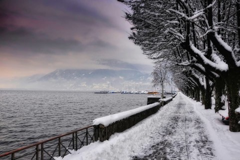 Walkway and Bare Trees with Snow in Winter on the Waterfront to Lake Maggiore with Mountain and