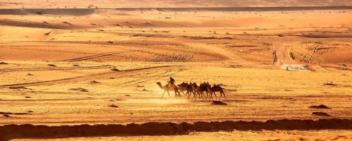 Jordan, Wadi Rum, November 2, 2022: Caravan of camels with drovers in the desert, rock mountains at