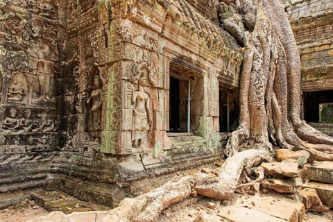 Ta Prohm temple complex near Angkor Wat in Cambodia