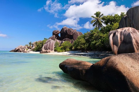 La Digue, Palm tree beach, Seychelles, Indian Ocean, Palm trees, La Digue, Indian Ocean,