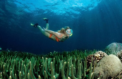 Two woman snorkelling, Bali, Indian Ocean, Indonesia, Asia