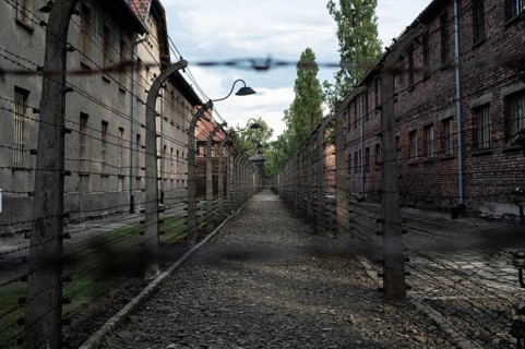 Barbed wire fence in a German concentration camp from World War II