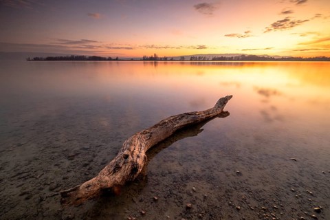A tree trunk in the calm, clear water of a lake at sunset under a partly cloudy sky,