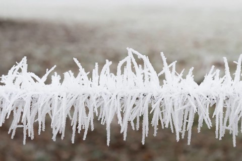 Hoarfrost on a fence white frost on a fence