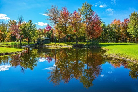 Red, orange and green autumn foliage is reflected to clear water of the lake. The shining sunny day