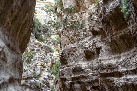Avagas Gorge in the western part of Cyprus