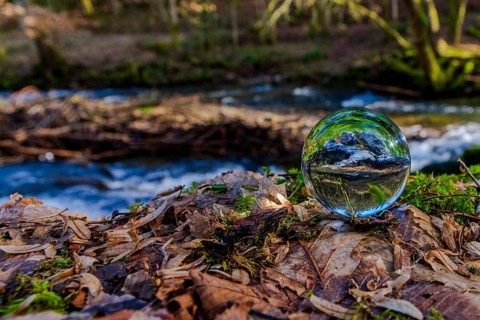 Crystal ball shows reflection of nature in quiet forest atmosphere, Perlbachtal, NIederbayern