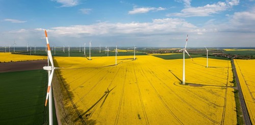 Green energy generation Wind turbines in a landscape with rapeseed fields