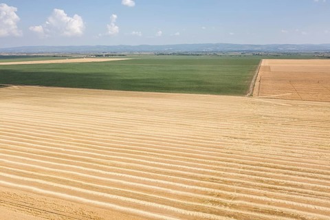 Areal view of crop fields in sunny summer day. Wheat Harvest