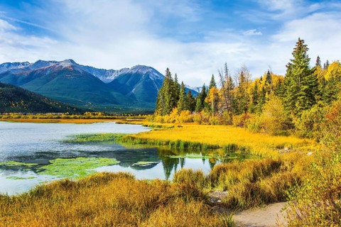 Lake Vermillon among the yellow fall grass and foliage of birches. Travel to autumn. Grandiose